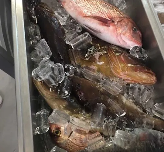 Di Mare Ποσειδωνία