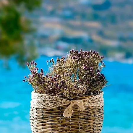 Di Mare Ποσειδωνία
