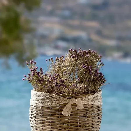 Di Mare Ξενοδοχείο