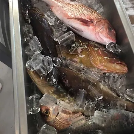 Di Mare Posidhonía